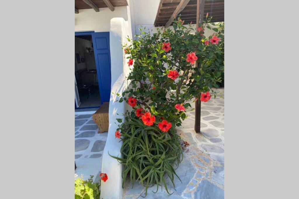 Pigeon House Ornos Beach Mykonos Town Екстер'єр фото